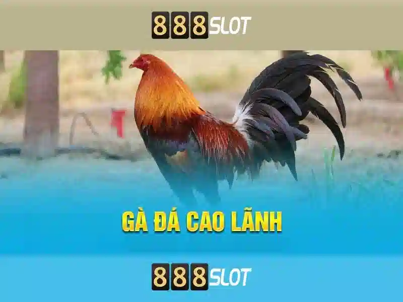 khuyến mãi 888slot