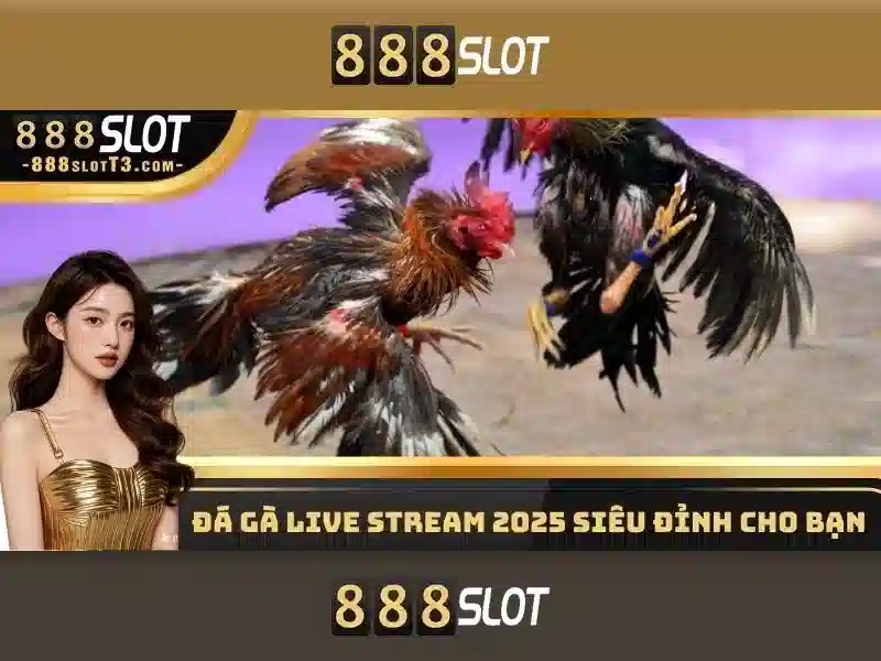 cá cược thể thao 888slot