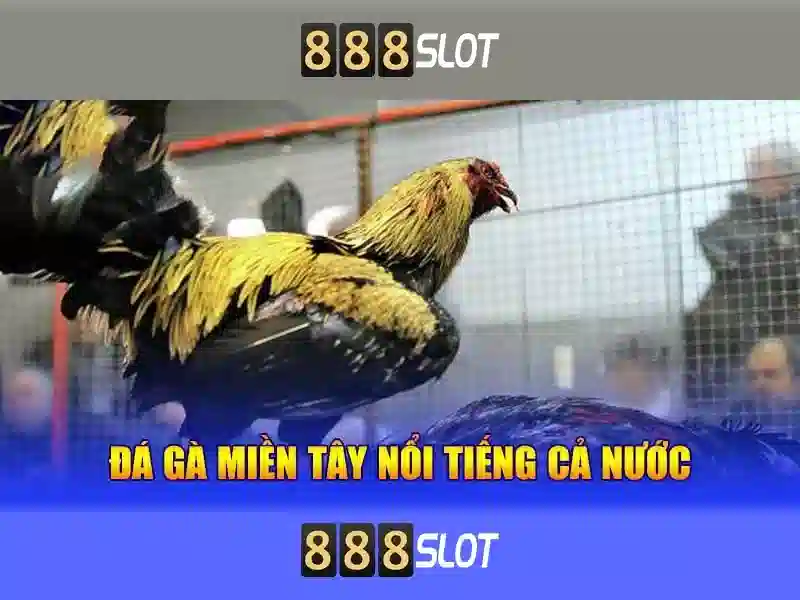 Giới Thiệu Về Bảo Mật 888SLOT