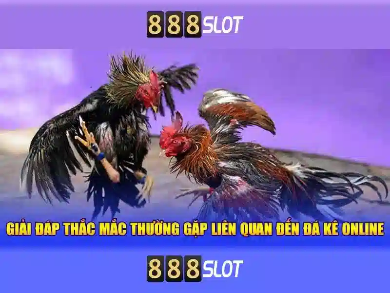 888SLOT - Trải Nghiệm Cá Cược Đỉnh Cao Với 888slot Apk & 888slot Com Login