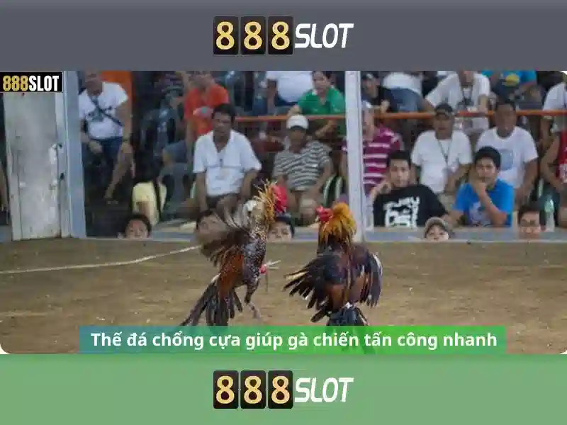 Tải 888SLOT – Trải nghiệm cá cược trực tuyến đỉnh cao