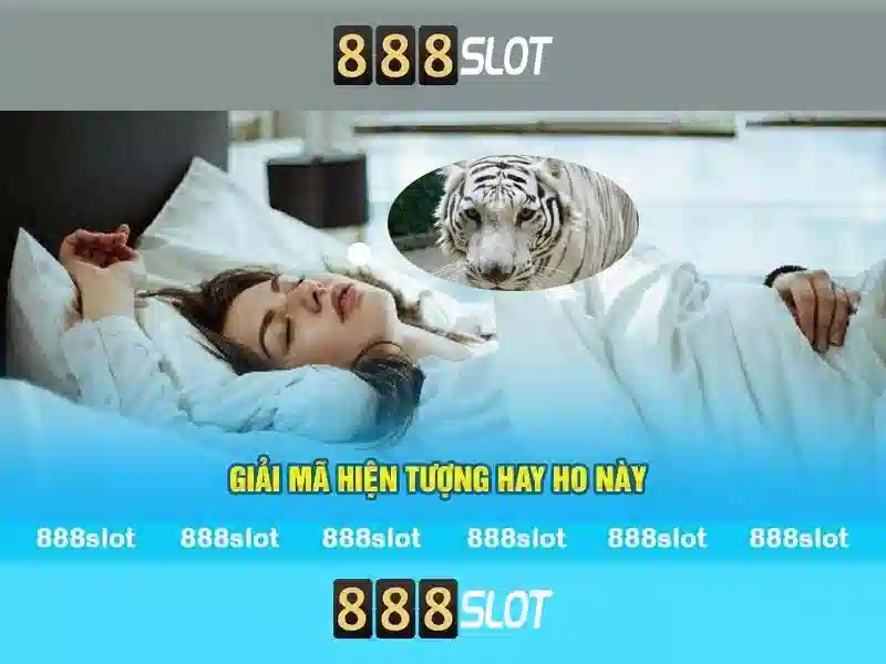Quy Định Về Tài Khoản 888SLOT