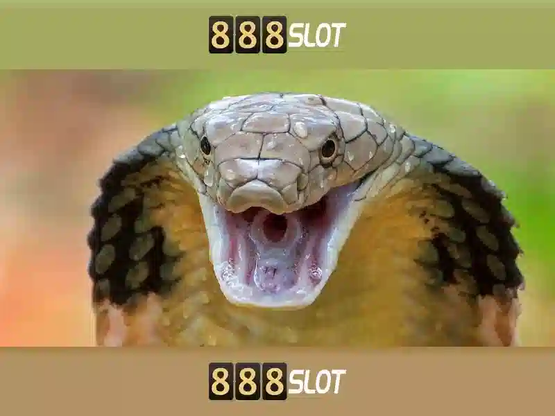 Tính Năng Slot 888