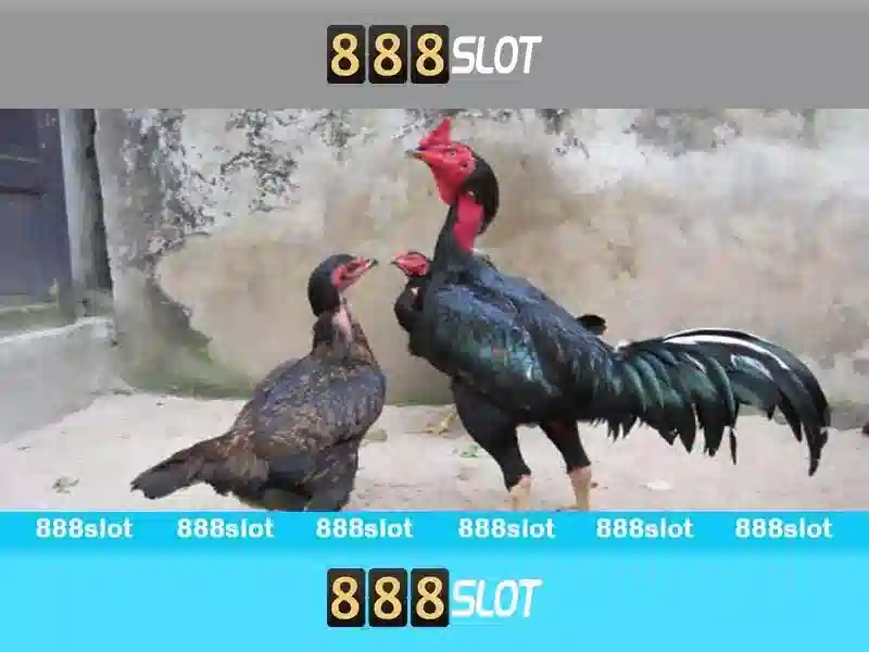 Quy trình đăng ký 888slot apk