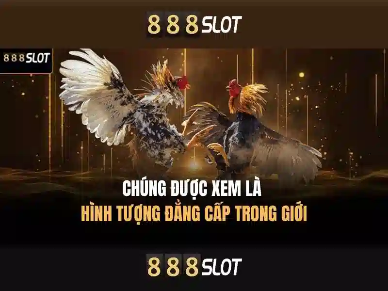 Tải 888SLOT
