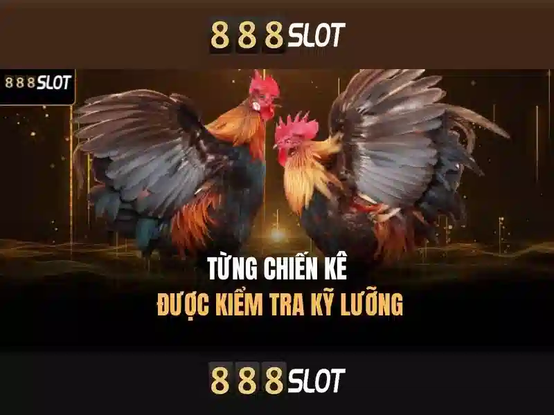 Hướng Dẫn Tải APK