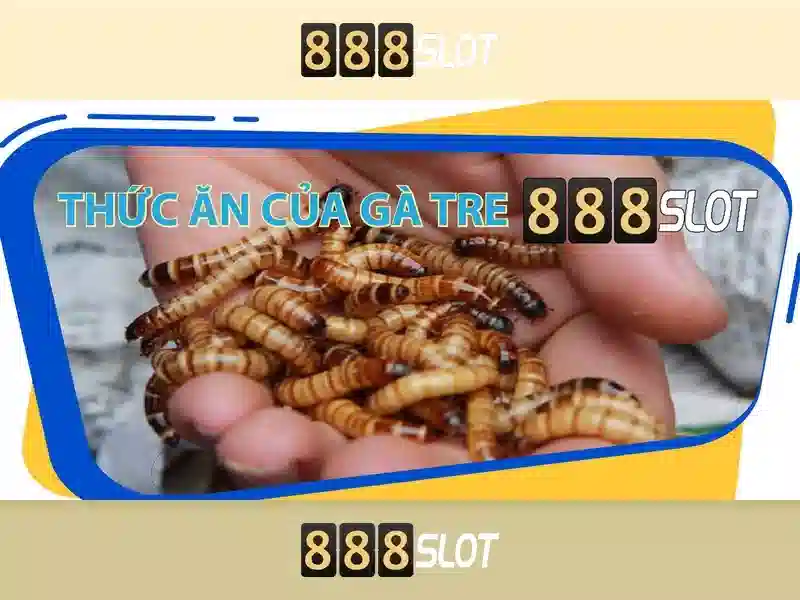 Khám phá 888SLOT