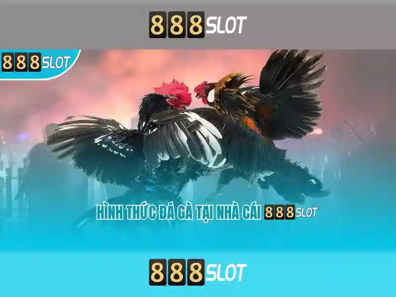 Trải Nghiệm Cá Cược Slot 888SLOT