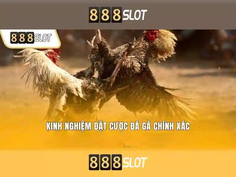 Trải Nghiệm Casino Đa Dạng