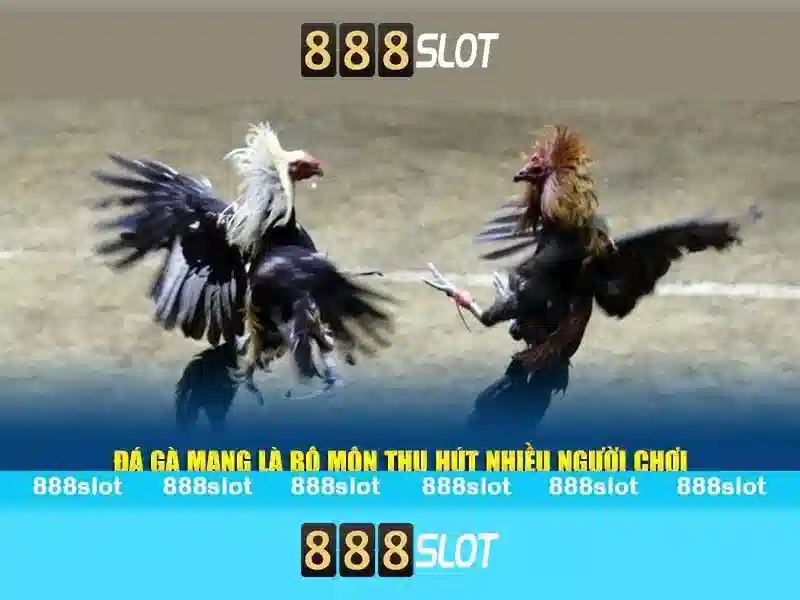 Trải nghiệm slot đỉnh cao 888SLOT