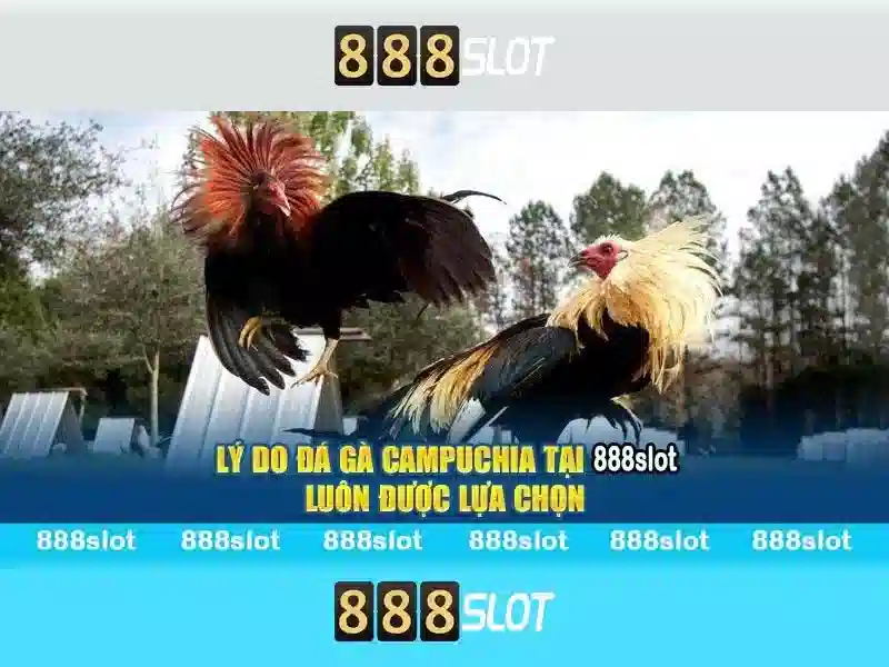 Hướng dẫn tải 888slot apk