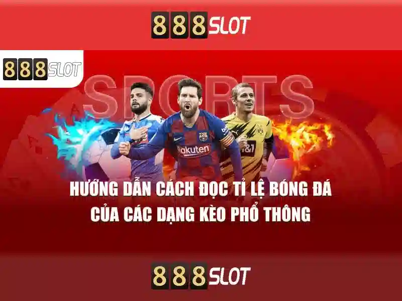 Đặc Điểm Nổi Bật