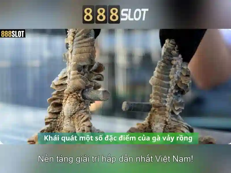Ưu Đãi Slot 888 Tại 888SLOT