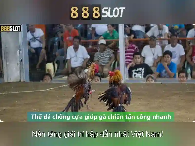 ưu đãi đặc biệt