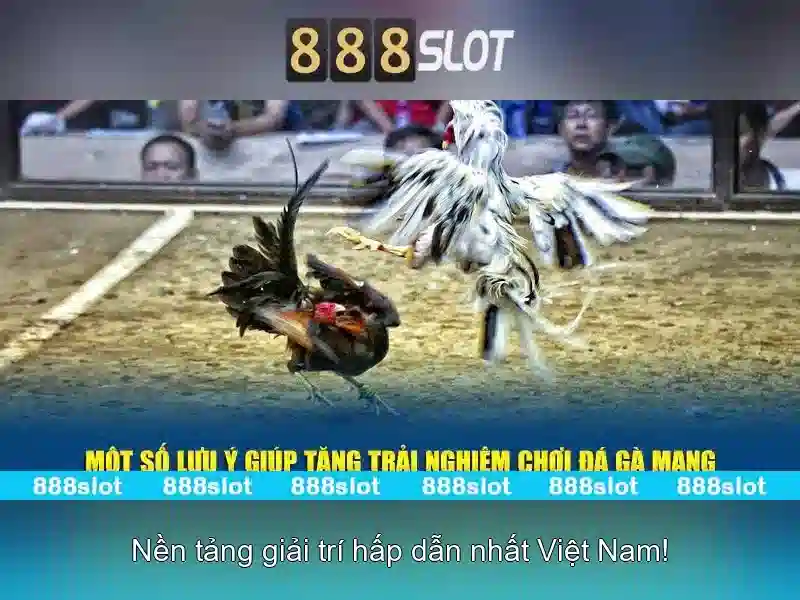 Nâng tầm trải nghiệm cá cược slot 888SLOT IMGED --></p><p>Với công nghệ hiện đại và hệ thống bảo mật tiên tiến, 888SLOT đảm bảo người chơi có thể tham gia cá cược slot an toàn, nhanh chóng và không lo lắng về vấn đề bảo mật tài khoản. 888slot channel cũng tích hợp nhiều tính năng hiện đại như tính năng chơi thử, thống kê lịch sử, và hỗ trợ đa nền tảng (mobile, desktop).</p><h3>Khám Phá Các Tựa Game Slot Nổi Bật</h3><p>888slot channel cung cấp nhiều tựa game slot được yêu thích nhất hiện nay:</p><ul><li><strong>Slot Machine</strong>: Trò chơi kinh điển với nhiều mức cược và tỷ lệ thưởng hấp dẫn.</li><li><strong>Fruit Slots</strong>: Game slot có hình ảnh sinh động, âm thanh vui nhộn.</li><li><strong>888slot channel</strong>: Tựa game mới nhất 2026 với đồ họa 4K và hiệu ứng âm thanh độc đáo.</li></ul><p><a href='https://j888slot.me' title='888SLOT'>888SLOT</a> cũng cung cấp nhiều chương trình khuyến mãi đặc biệt cho thành viên trung thành, giúp người chơi có cơ hội nhận thưởng lớn ngay cả khi tham gia cá cược slot.</p><h2><strong>888slot channel</strong> – Trải Nghiệm Cá Cược Slot 24/7</h2><p class='body_img'></p><p>Với công nghệ hiện đại và hệ thống bảo mật tiên tiến, 888SLOT đảm bảo người chơi có thể tham gia cá cược slot an toàn, nhanh chóng và không lo lắng về vấn đề bảo mật tài khoản. 888slot channel cũng tích hợp nhiều tính năng hiện đại như tính năng chơi thử, thống kê lịch sử, và hỗ trợ đa nền tảng (mobile, desktop).</p><h3>Khám Phá Các Tựa Game Slot Nổi Bật</h3><p>888slot channel cung cấp nhiều tựa game slot được yêu thích nhất hiện nay:</p><ul><li><strong>Slot Machine</strong>: Trò chơi kinh điển với nhiều mức cược và tỷ lệ thưởng hấp dẫn.</li><li><strong>Fruit Slots</strong>: Game slot có hình ảnh sinh động, âm thanh vui nhộn.</li><li><strong>888slot channel</strong>: Tựa game mới nhất 2026 với đồ họa 4K và hiệu ứng âm thanh độc đáo.</li></ul><p><a href='https://j888slot.me' title='888SLOT'>888SLOT</a> cũng cung cấp nhiều chương trình khuyến mãi đặc biệt cho thành viên trung thành, giúp người chơi có cơ hội nhận thưởng lớn ngay cả khi tham gia cá cược slot.</p><h2><strong>888slot channel</strong> – Trải Nghiệm Cá Cược Slot 24/7</h2><p class='body_img'><div class=