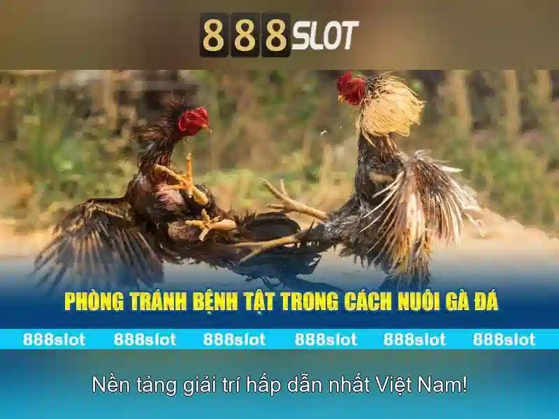 Trải Nghiệm Slot 888SLOT