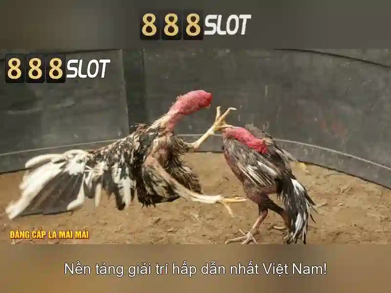 Ưu Đãi 888slot