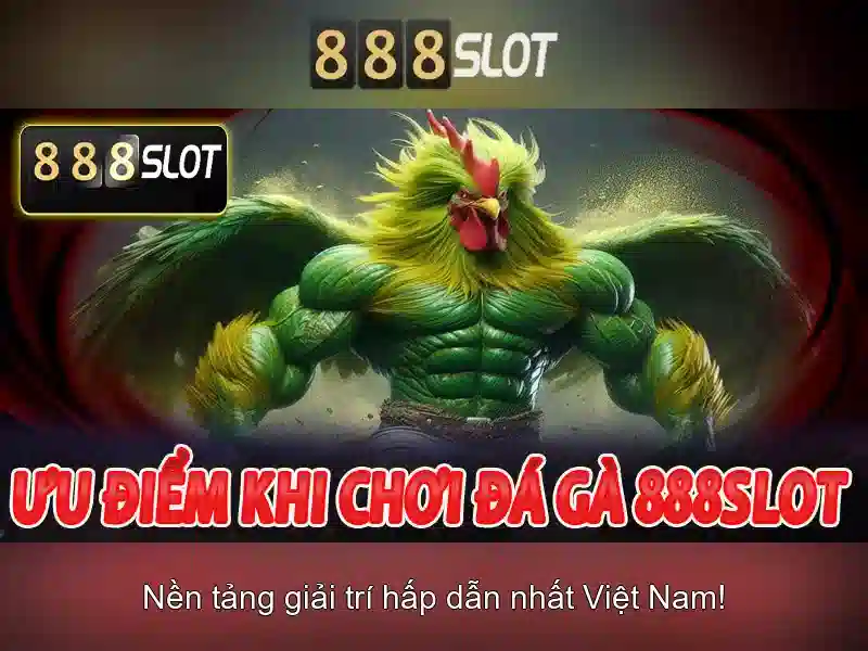 Ưu Đãi Đặc Biệt