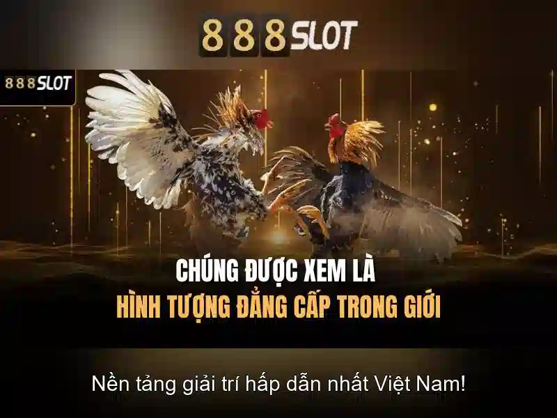 An Toàn và Bảo Mật Tuyệt Đối