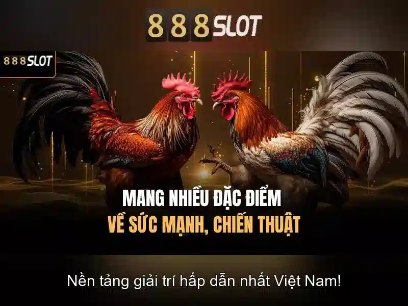 Trải Nghiệm Chơi Slot Đỉnh Cao