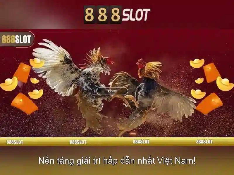 Điều Khoản Sử Dụng 888SLOT