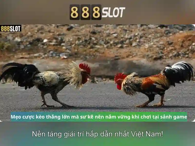 888SLOT – Trải Nghiệm Slot Đỉnh Cao Với 888 slot tải app ios
