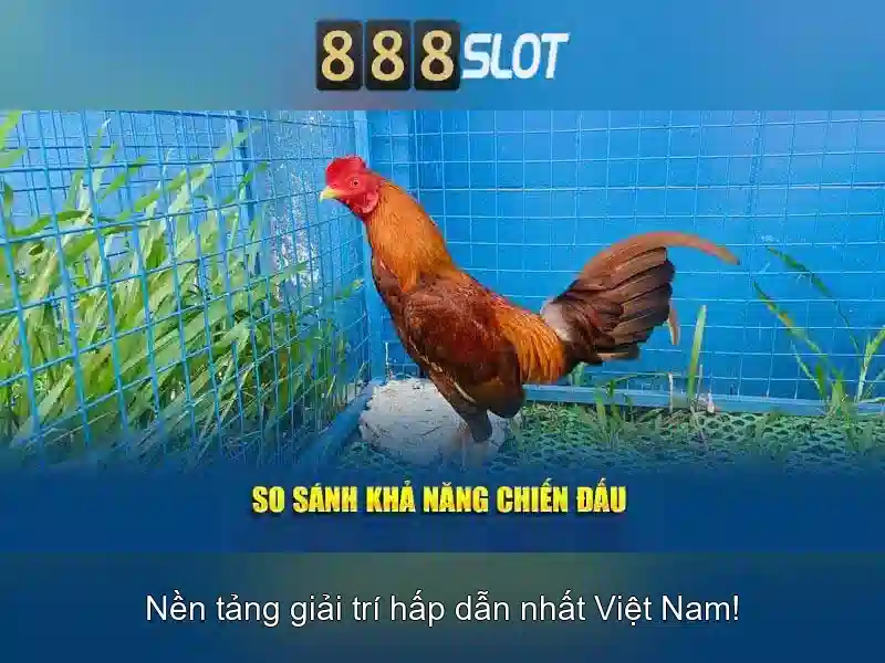 Nhà Cái 888slot
